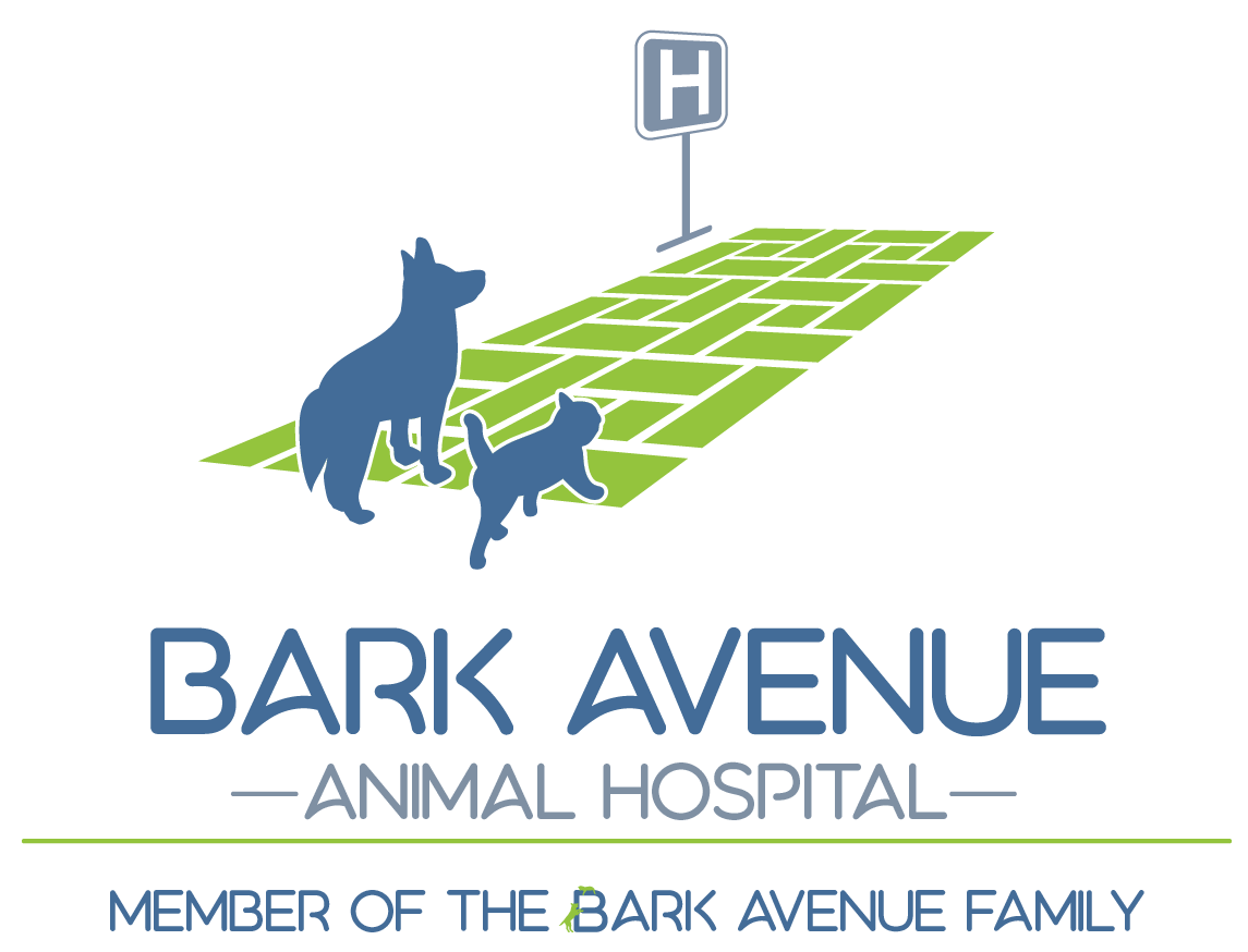Bark Avenue Animal Hospital