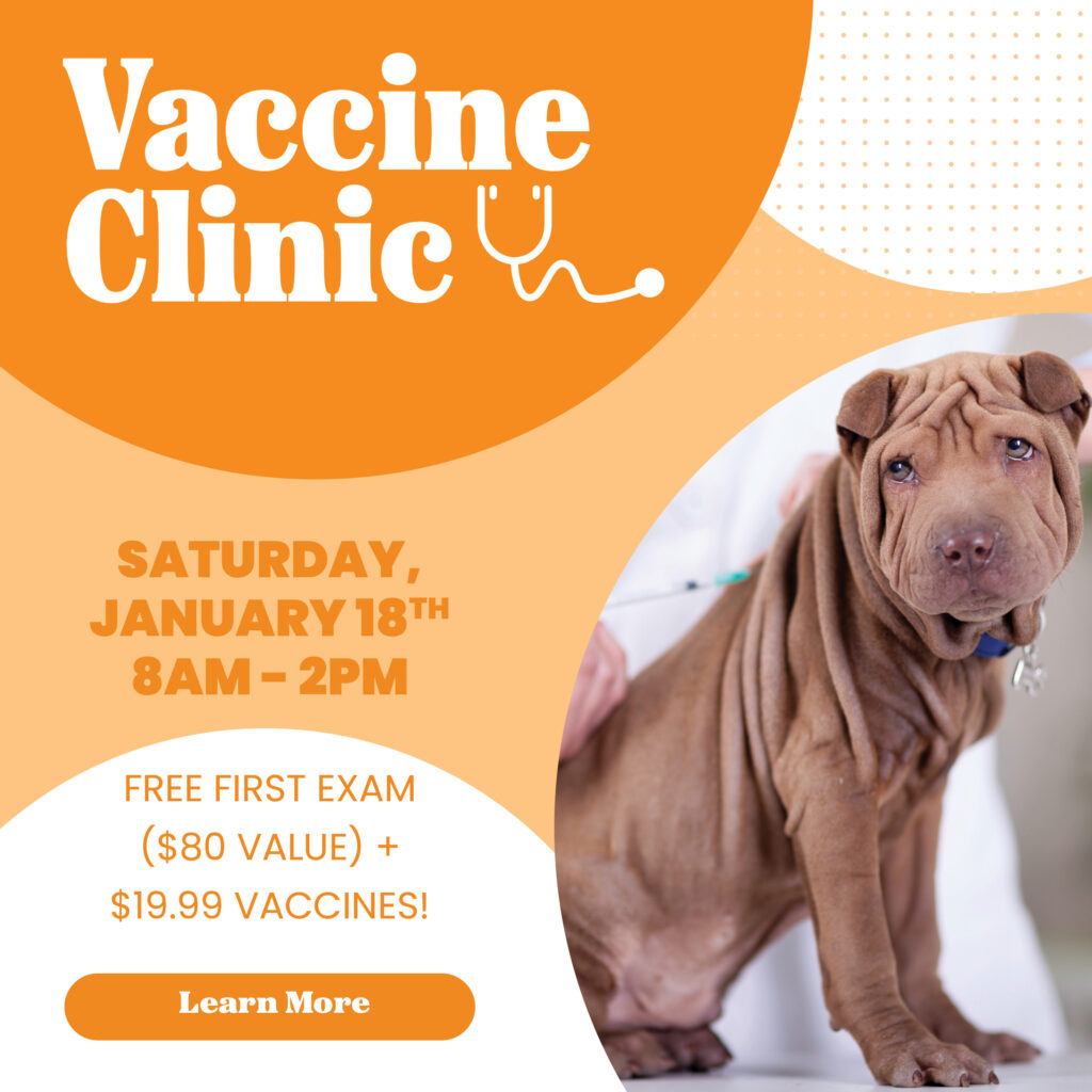 Low Cost Vaccine Clinic